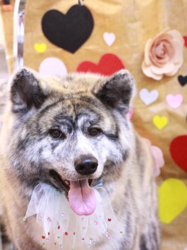 20230217むぎくん